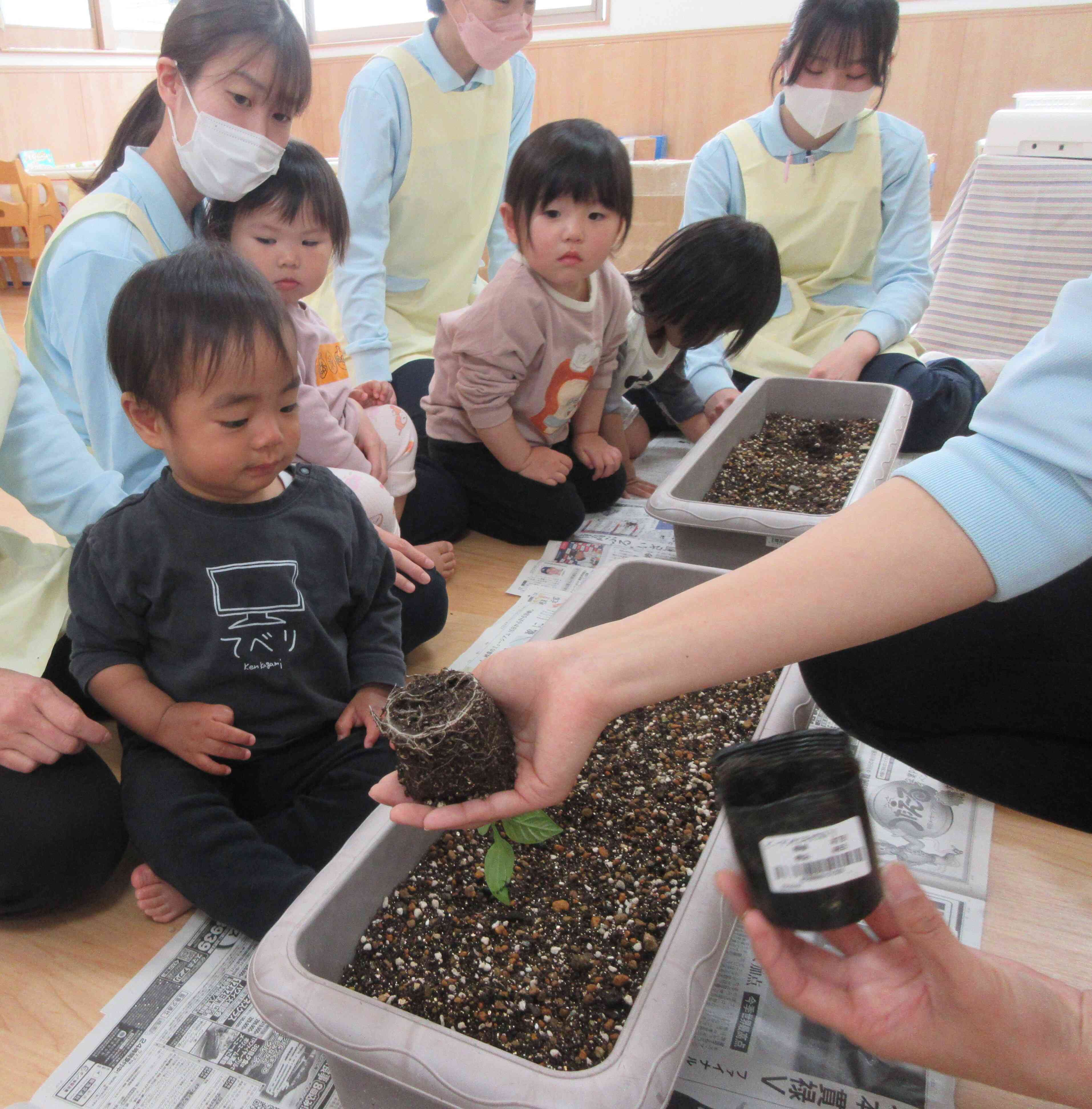 種まき＆苗植え｜キッズ神山保育所｜ニチイキッズ